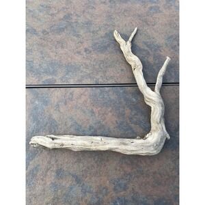 Natural Driftwood for Plants Terrarium Taxidermy Art Projects